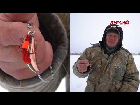 Видео: Судак. Зимняя блесна на реке