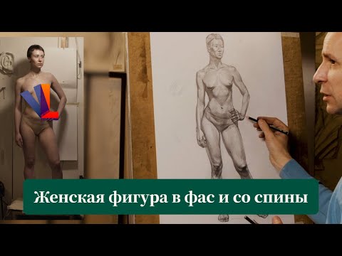 Видео: Женская фигура в фас и со спины - Александр Рыжкин