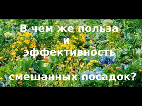 Видео: СМЕШАННЫЕ ПОСАДКИ И СЕВООБОРОТ!