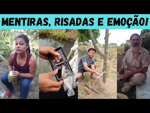 Видео: Садовые чехлы-самые сумасшедшие истории в интерьере!...