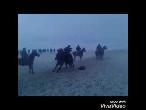 Видео: Тогуз-Торо улак тартыш