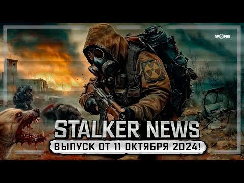 Видео: STALKER NEWS (Выпуск от 11 октября, 2024)