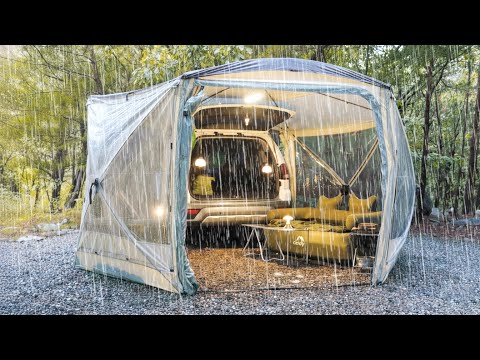 Видео: Соло-кемпинг в тропическом лесу с моей собакой – Уютная автомобильная палатка (Расслабляющее ASMR)