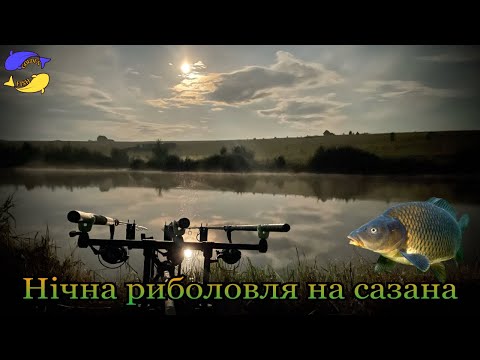 Видео: ЧИ ПРАЦЮЄ POP - UP НА ДИКІЙ ВОДОЙМІ? | ДИКІ САЗАНИ НА ФІДЕР