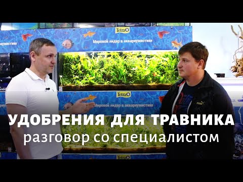Видео: Аквариумные удобрения. Для чего и как их применять? Обсуждаем с Василием Чернышёвым