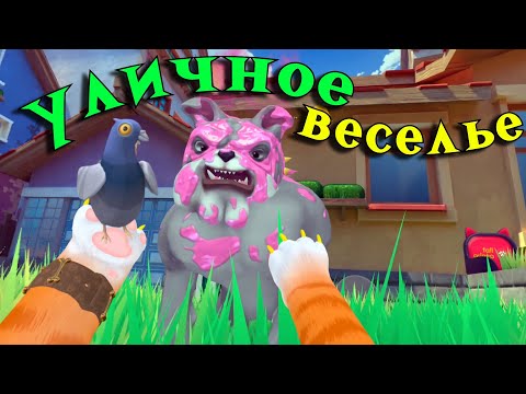 Видео: КОТ  ВЕСЕЛИТСЯ НА УЛИЦЕ