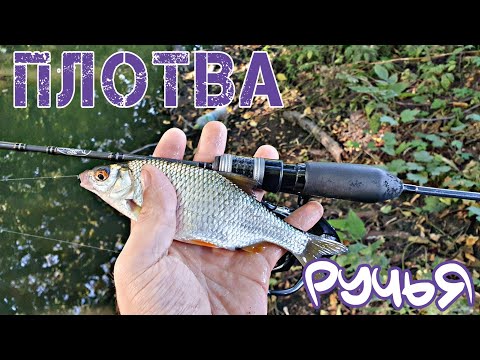 Видео: Нанождиг. Ручей, плотва