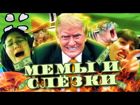 Видео: Интернет В ИСТЕРИКЕ от победы Трампа