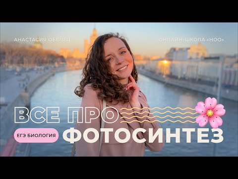 Видео: ВСЕ  ПРО ФОТОСИНТЕЗ | ЕГЭ по биологии 2023