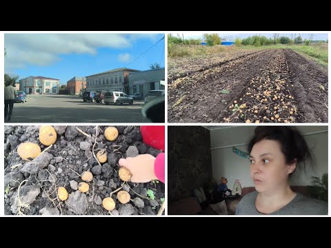 Видео: Уборка дома после работы. Несколько дней в деревне. Продолжаю копать картошку. 