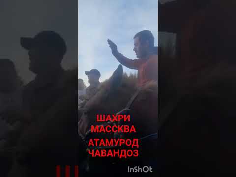 Видео: 21 сентября 2025 г.