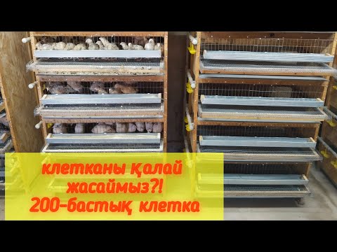 Видео: Жаңа бөдене "клеткасы"/клетканы жасау оңайма?!