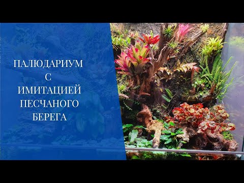 Видео: Палюдариум с имитацией песчаного берега
