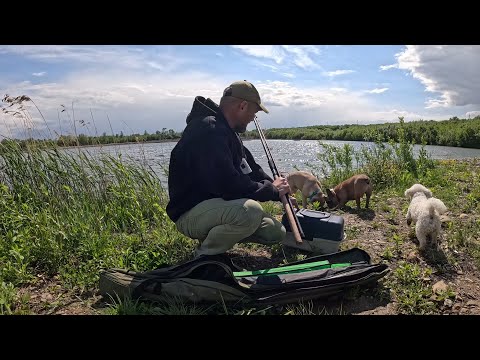 Видео: Разом із сім’єю РИБАЛКА З НОЧІВЛЕЮ НА ОЗЕРІ! Собаки з нами, вечеря на вогні..