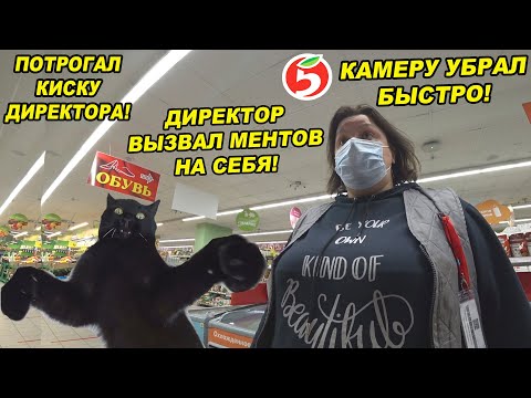 Видео: ДИРЕКТОР ВЫЗВАЛ МЕНТОВ САМ НА СЕБЯ! / ЧТО БУДЕТ ЕСЛИ ПОТРОГАТЬ КИСКУ ДИРЕКТОРА ПЯТЕРОЧКИ