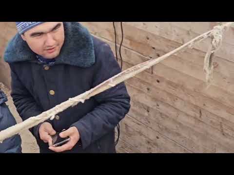 Видео: 14 января 2024 г.