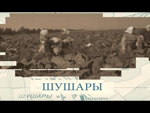 Видео: Шушары / «Малые родины большого Петербурга»