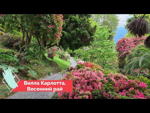 Видео: выпуск 3 Вилла Карлотта. Италия. Сад азалий на озере Комо.