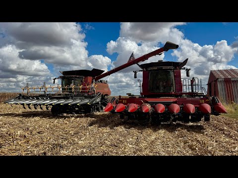 Видео: ТРИ поколения занимаются фермерством на одном поле!!
