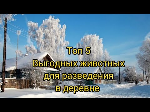 Видео: Топ 5 Выгодных животных для разведения в деревне