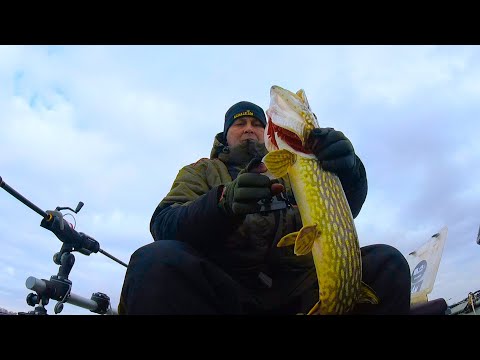 Видео: Очнулся на берегу - и началось...bogomaz05