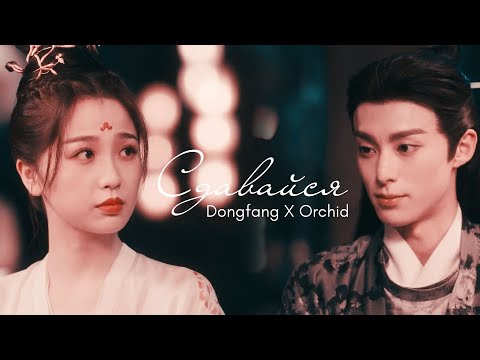 Видео: Dongfang & Orchid I Сдавайся I Разлука Орхидеи и Повелителя Демонов