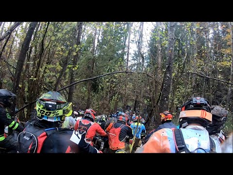 Видео: Enduro 4 Seasons 2025. Логойск. День 1