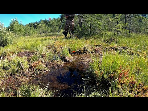 Видео: ОПУСТИЛ МОРМЫШКУ в ЧЕРНУЮ ВОДУ и ЗАГНУЛО КИВОК! Рыбалка на боковой в 2022