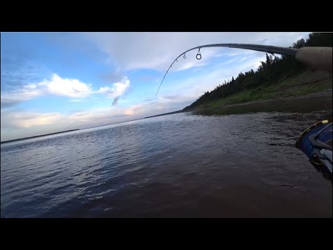 Видео: Рыбалка в Курейке. Новые приключения! Часть 1
