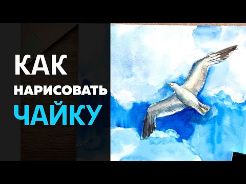 Видео: Как нарисовать чайку акварелью. Мастер-класс для детей и начинающих.