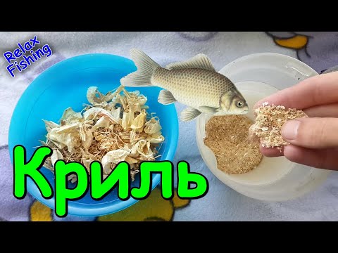 Видео: Реакция рыбы на КРИЛЬ. Мука креветки/раков - подводная съемка рыбалки. Карась, плотва, густера, карп