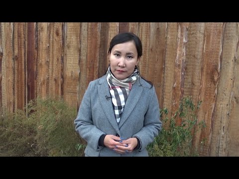 Видео: «Семейный контролер» 28.10.2021