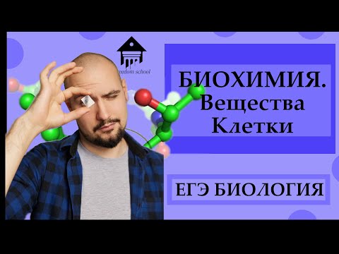 Видео: БИОХИМИЯ - вещества клетки для ЕГЭ |ЕГЭ БИОЛОГИЯ|Freedom|