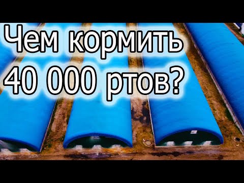 Видео: ОН В ДЕСЯТКЕ ЛУЧШИХ! КТО ВЫШЕ?? ХОЗЯЙСТВО АНДРЕЯ !