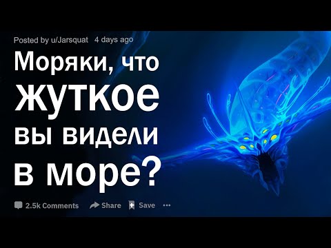 Видео: Моряки, что самое жуткое вы видели в море?