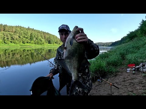 Видео: Западная Двина.Daugava.Лещ,подлещик.На Рыбалку, для души!!!