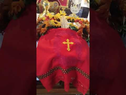 Видео: 15 вересня 2025 р.