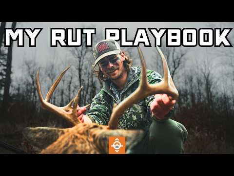 Видео: Мои 6 правил охоты на белохвостого оленя