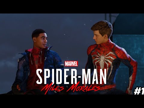 Видео: SPIDER-MAN: MILES MORALES ➤ Прохождение #1 | Майлз Победил Носорога 🦏