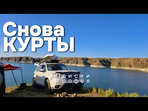 Видео: Выезд на Курты!! Трофей снова от нас УШЁЛ((( Рыбалка Алматы и Алматинской Области...