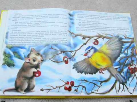 Видео: В. Бианки. Сказки малышам