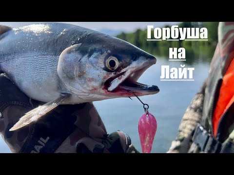 Видео: Рыбалка на р.Паратунка #Камчатка#рыбалка#туризм