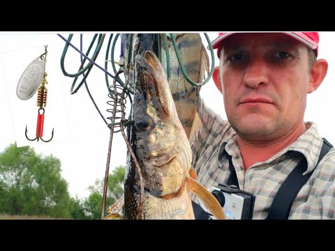 Видео: Д Скнятино Р Волнушка Щука на вертушку MEPPS