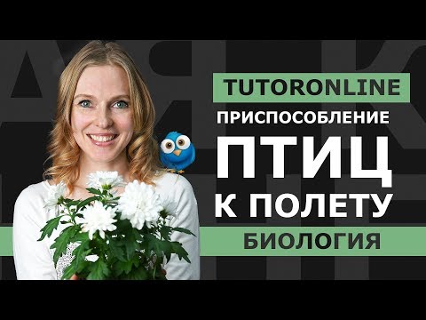 Видео: Биология |  «Отчего люди не летают так, как птицы» или Внутреннее строение Птиц