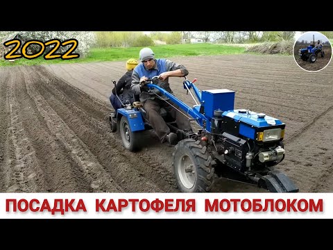 Видео: ПОСАДКА КАРТОФЕЛЯ МОТОБЛОКОМ С СЕСТРОЙ / ПРОВЕРЕННЫЙ И НАДЁЖНЫ СПОСОБ ПОСАДКИ КАРТОФЕЛЯ 2022