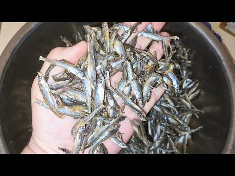 Видео: Вяленая рыба корюшка ХАМСА как АНЧОУС! Рецепт вяленой рыбы.