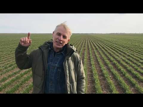 Видео: Лаборатория идет в поля