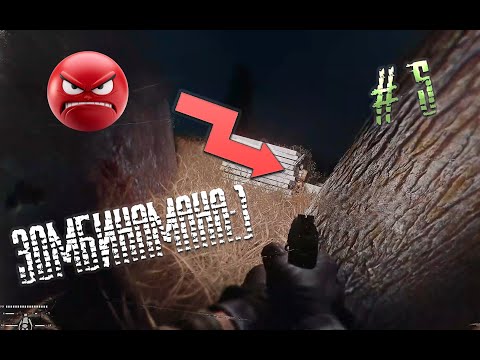 Видео: Stalker Anomaly Gamma | 4К | Кайфуем | Разбираемся вместе)  | v 0.9.4 | Зомбинамана!!!  | # 5