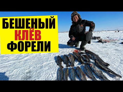 Видео: Бешеный клёв форели, рыбалка близ Алматы, озеро вдали от жен, форель порадовала нас отличным клёвом!