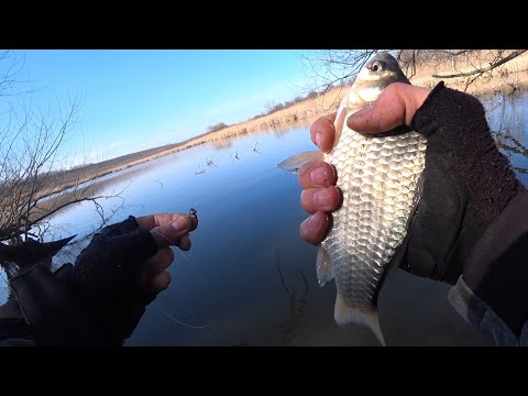 Видео: Знайшли БАГАТО КАРАСЯ !  Розвідка нових місць, рибалка на боковий кивок